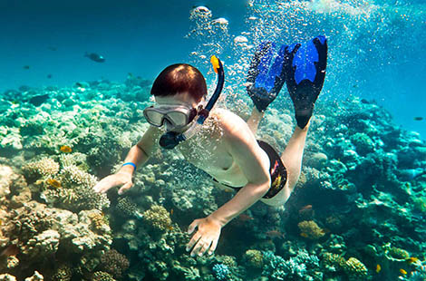 tropical snorkeler
