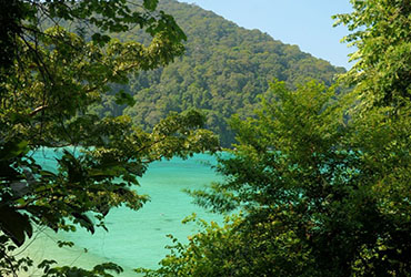 view from surin islands bungalow at chong khard